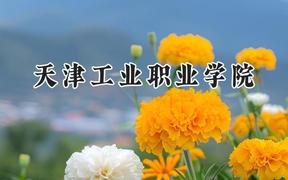 天津工业职业学院2024在天津录取分数线是多少？最低196分/最高208分